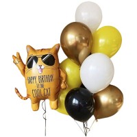 Шарики Happy Birthday to one Cool Cat с котом №595