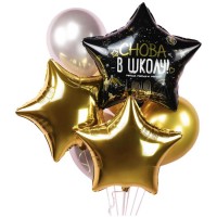Воздушные шарики звезды Снова в школу №783