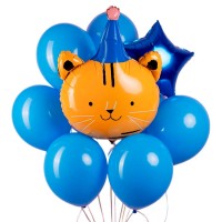 Воздушный шарик Котик в колпаке №1179